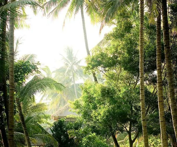 Otel Gaia-oasis Tejakula